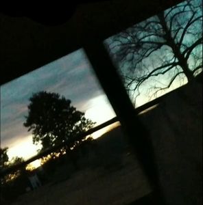 Meet your Posher, Leo